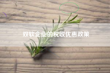 详细阅读:双软企业的税收优惠政策 双软企业的税收优惠政策