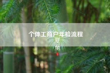 详细阅读:个体工商户年检流程 个体工商户年检流程