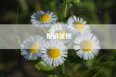 详细阅读:报销流程 报销流程