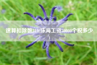 速算扣除数210(珠海工资30000个税多少
)