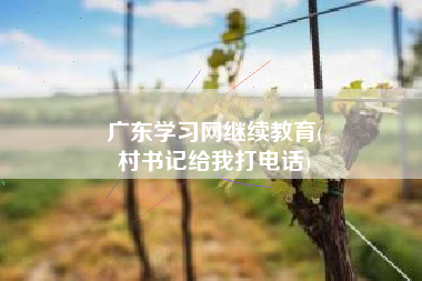 广东学习网继续教育(
村书记给我打电话)