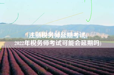 注册税务师延期考试(
2022年税务师考试可能会延期吗)