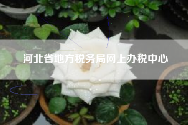 详细阅读:河北省地方税务局网上办税中心 河北省地方税务局网上办税中心