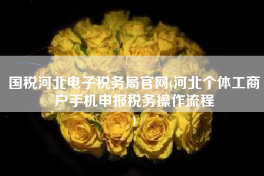 国税河北电子税务局官网(河北个体工商户手机申报税务操作流程
)