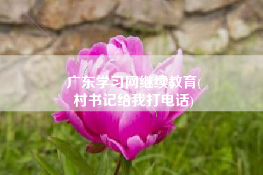 广东学习网继续教育(
村书记给我打电话)