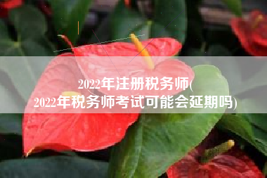 2022年注册税务师(
2022年税务师考试可能会延期吗)