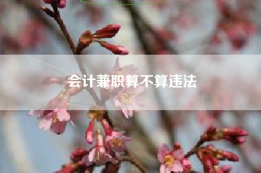 详细阅读:会计兼职算不算违法 会计兼职算不算违法