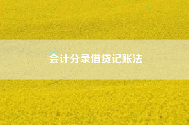 详细阅读:会计分录借贷记账法 会计分录借贷记账法