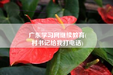 广东学习网继续教育(
村书记给我打电话)