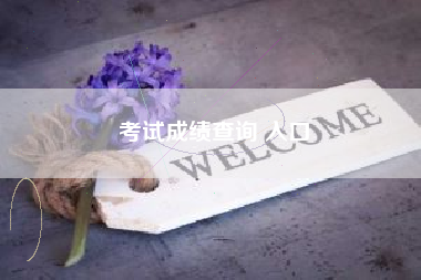 详细阅读:考试成绩查询 入口 考试成绩查询 入口