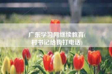 广东学习网继续教育(
村书记给我打电话)