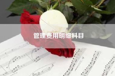 详细阅读:管理费用明细科目 管理费用明细科目
