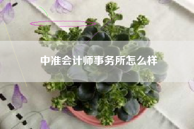 详细阅读:中准会计师事务所怎么样 中准会计师事务所怎么样