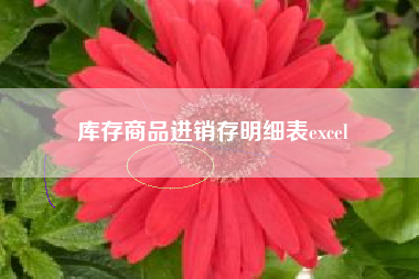 库存商品进销存明细表excel