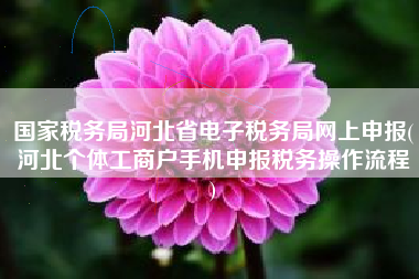 国家税务局河北省电子税务局网上申报(河北个体工商户手机申报税务操作流程
)