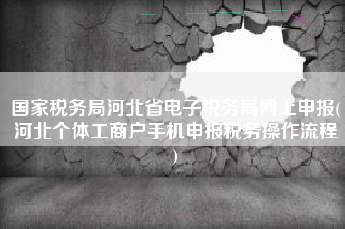 国家税务局河北省电子税务局网上申报(河北个体工商户手机申报税务操作流程
)