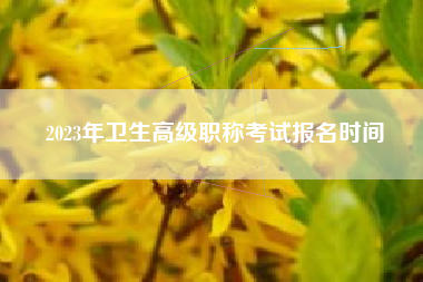 2023年卫生高级职称考试报名时间