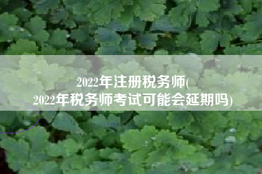 2022年注册税务师(
2022年税务师考试可能会延期吗)