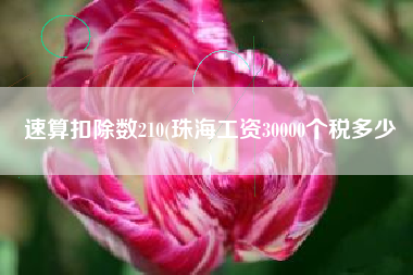 速算扣除数210(珠海工资30000个税多少
)