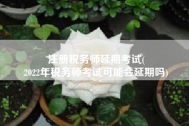 注册税务师延期考试(
2022年税务师考试可能会延期吗)