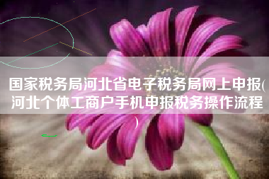 国家税务局河北省电子税务局网上申报(河北个体工商户手机申报税务操作流程
)